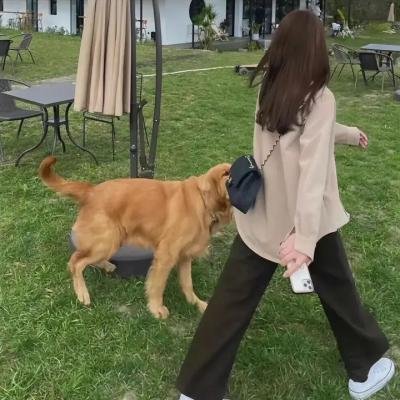 我的罪行