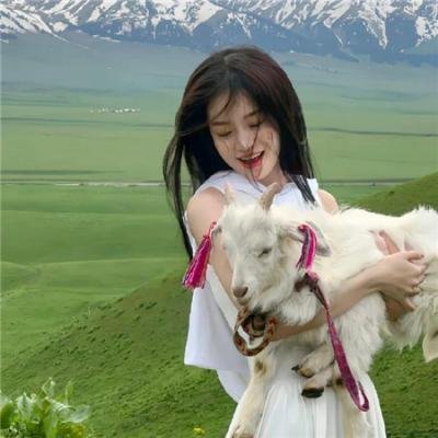 汉堡总动员2