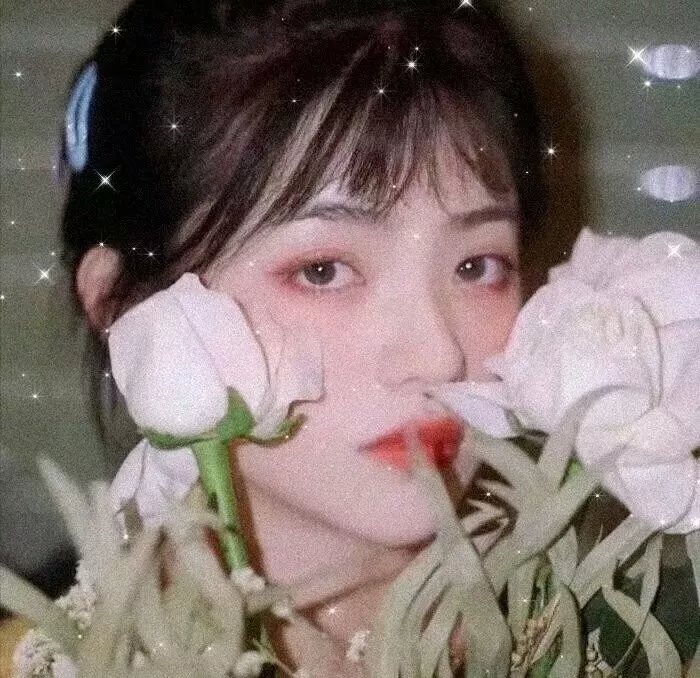 我的独裁者